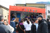 carnevale_2009_mario_008.jpg