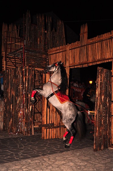 DSC_0245a.jpg