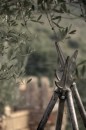 _IGP9588.jpg
