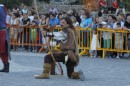 _MG_9521.JPG