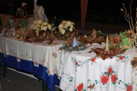 MER_NATALE_2010-033.JPG